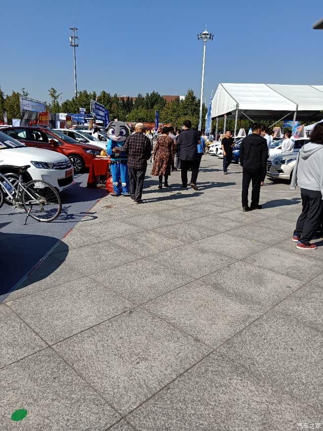 看看任丘车展