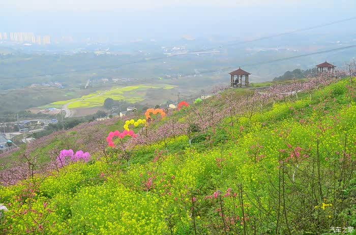 35plus陪伴游北碚歇马桃花节