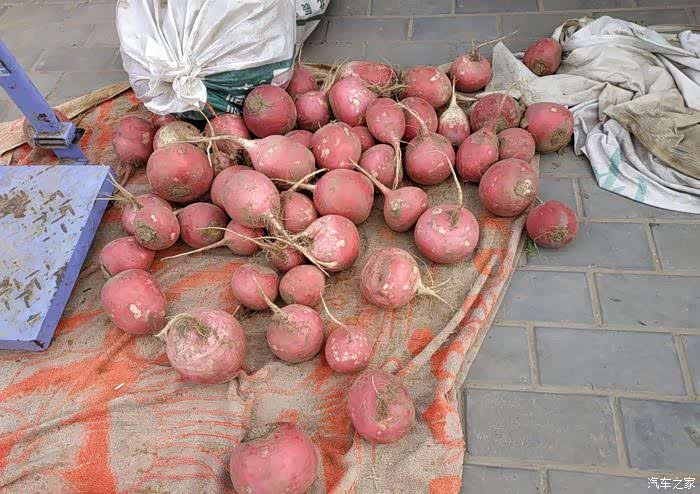 农民自己种的蔓菁,冬天腌咸菜用,绿色无污染.