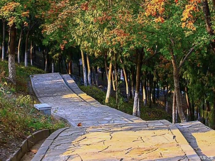 【图】商丘森林公园--狗子撒欢记_哈弗大狗论坛_汽车之家论坛