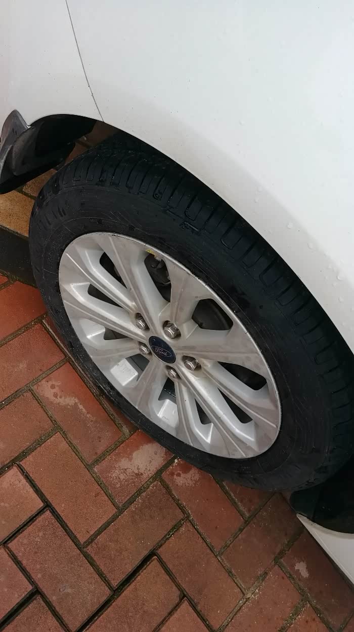 福睿斯之固特异轮胎续