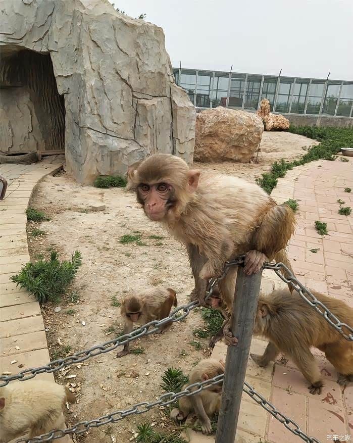 全民用车记游万安山野生动物欢乐世界