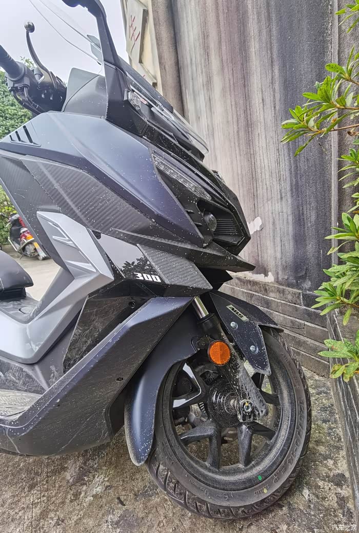 限摩地喜提三阳巡弋300