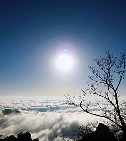 胜日寻芳泗水滨,无边光景一时新.