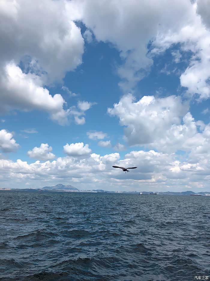 半山半海半边天雀唱翠柏绕谷间