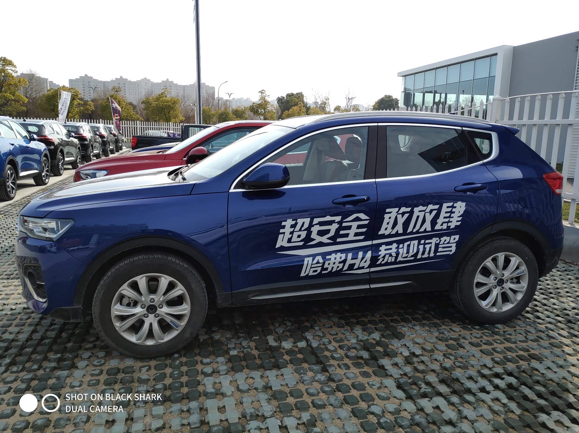 4s店的试驾车可以入手吗