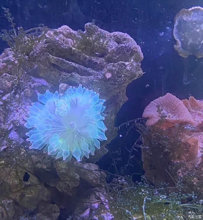 万物复苏送福利小鹏车主带你游帆鲨海洋文化馆