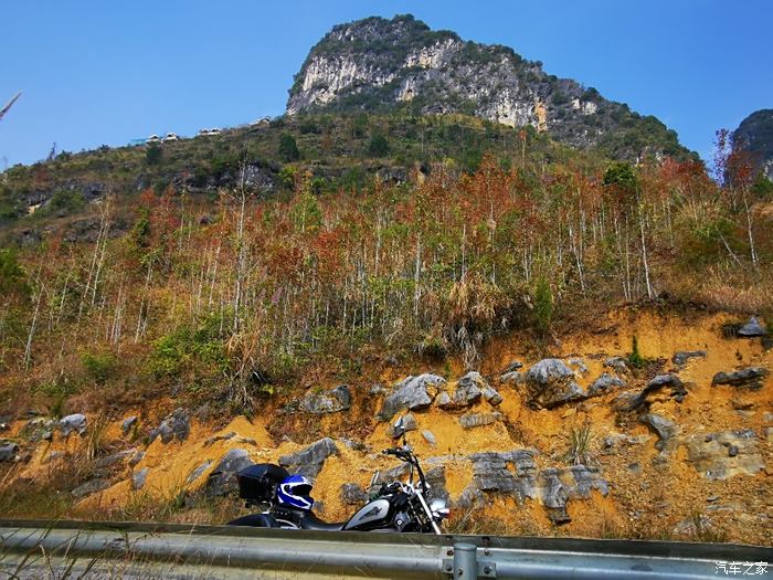 田阳琴华淋塘图片