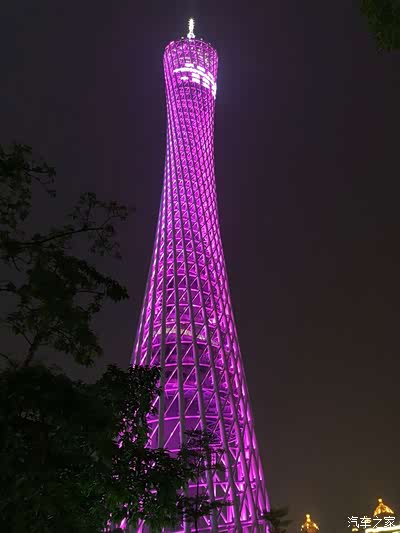 紫色特别的浪漫