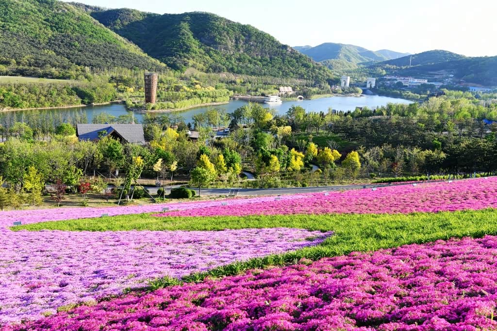 美丽的大连西郊国家森林公园