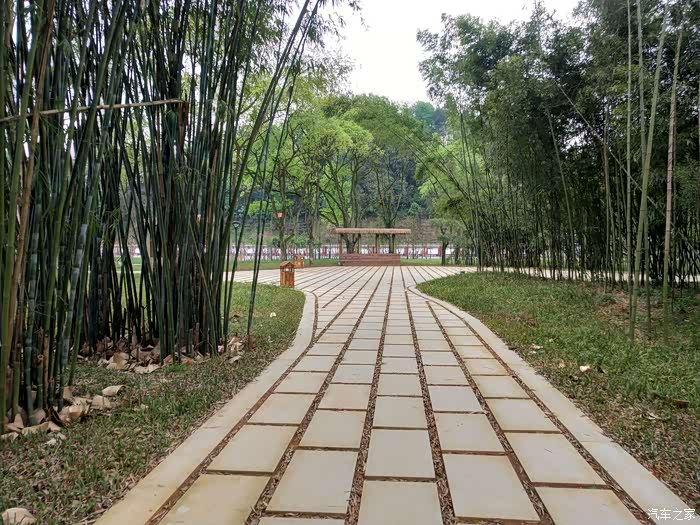 【寻找15°c盛夏】自驾游南屏公园