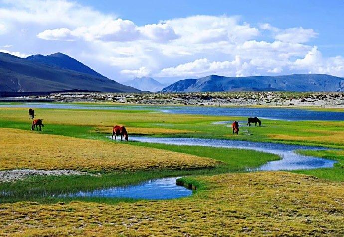 日喀则定结湿地西藏的后花园