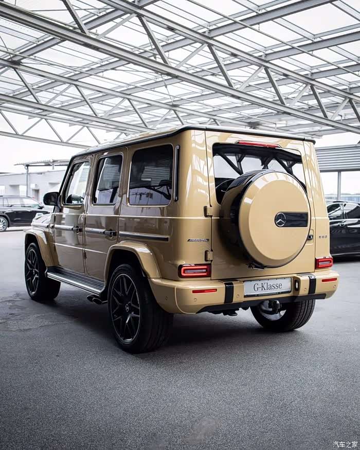 这枚大g颜色很特别很漂亮