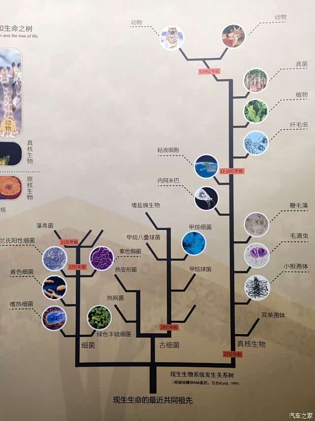 告别2021南京古生物博物馆