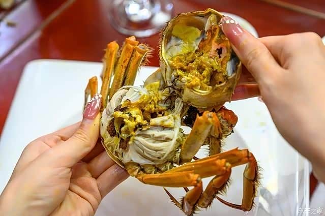 走进高淳品尝螃蟹九月黄