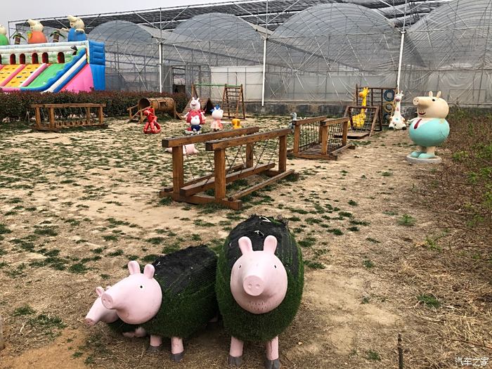 泰安猪猪农场简介图片