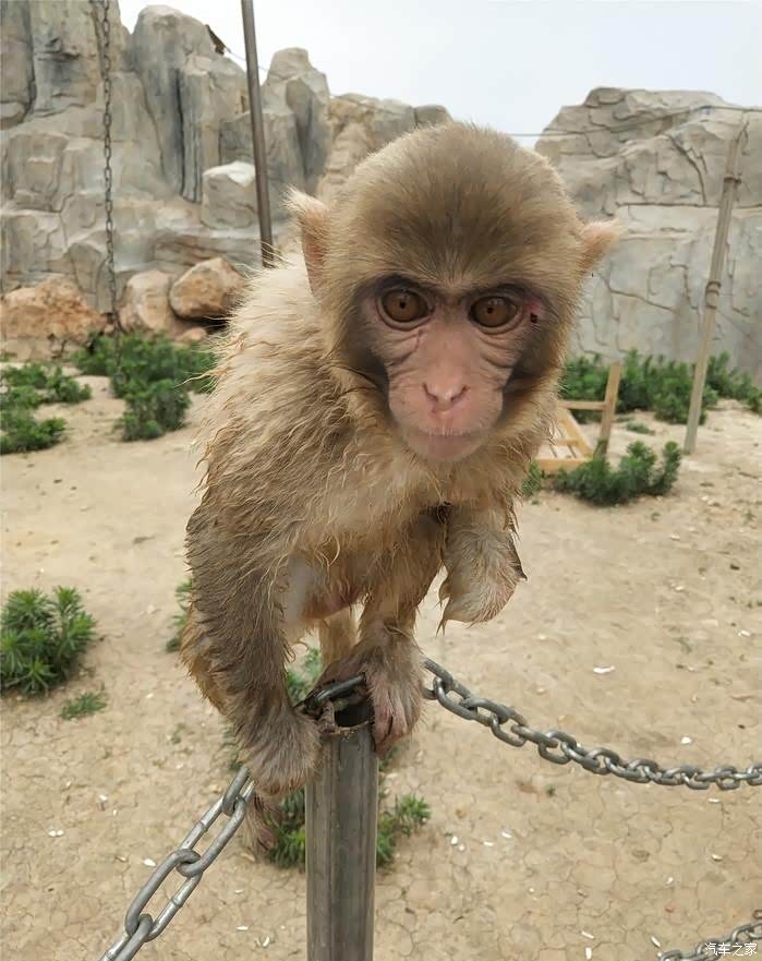 全民用车记游万安山野生动物欢乐世界