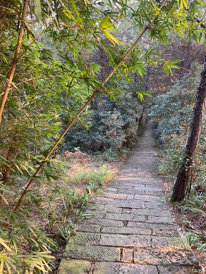 白市驿登山步道图片