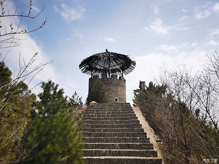 玉泉山公园赏樱花登山步道花芳斗艳