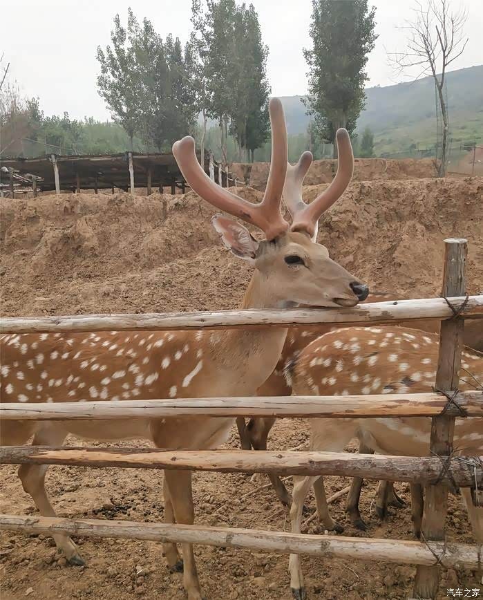 全民用车记游万安山野生动物欢乐世界