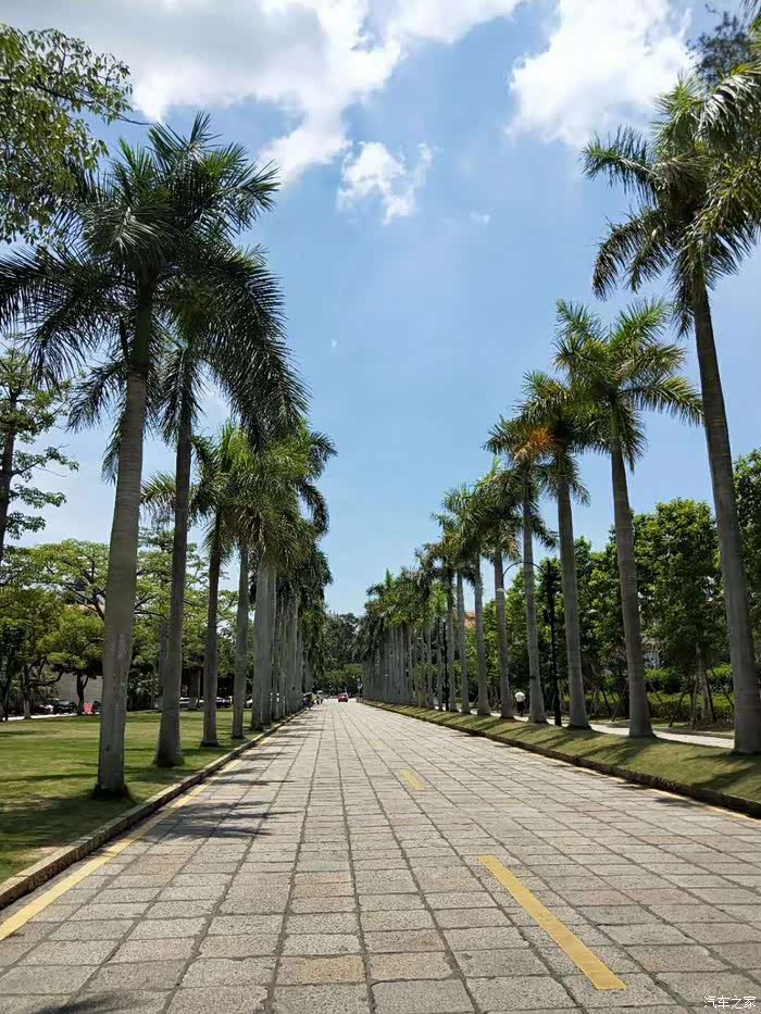 唯最纯粹的美景不容辜负 ——厦门大学旅游记