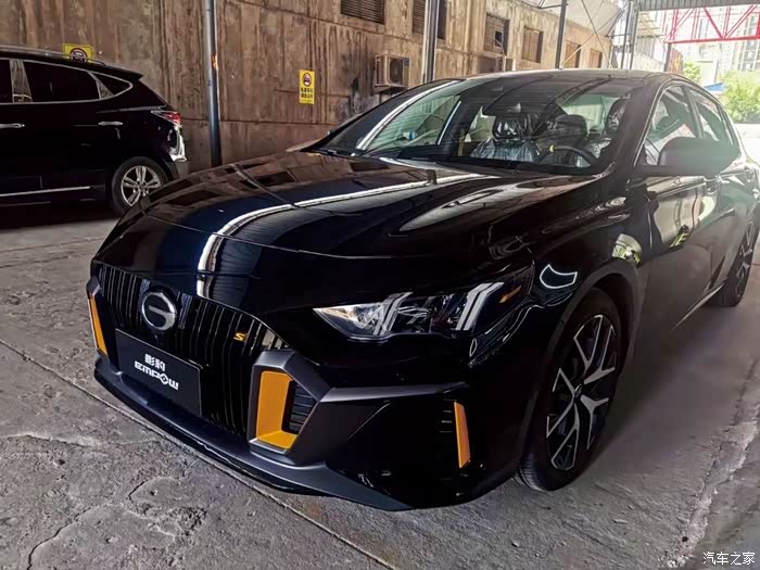 广东为了黑色影豹等待两个月