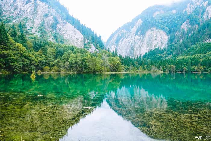九寨沟,最梦幻的人间仙境归来了