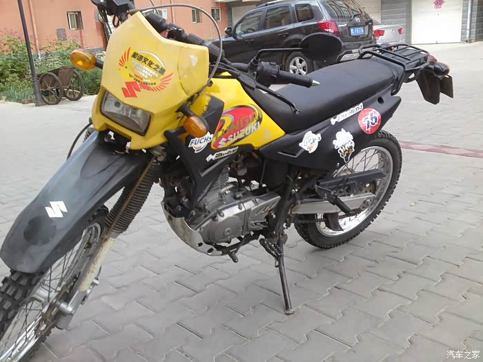 我的轻骑藏獒200