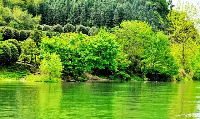 船行河中,满眼的绿,深绿,浅绿,碧绿,淡绿,黛绿,黄绿
