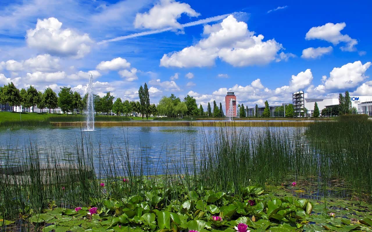 阳光和煦的好天气,体会了一整天的岁月静好.很美,很惬意