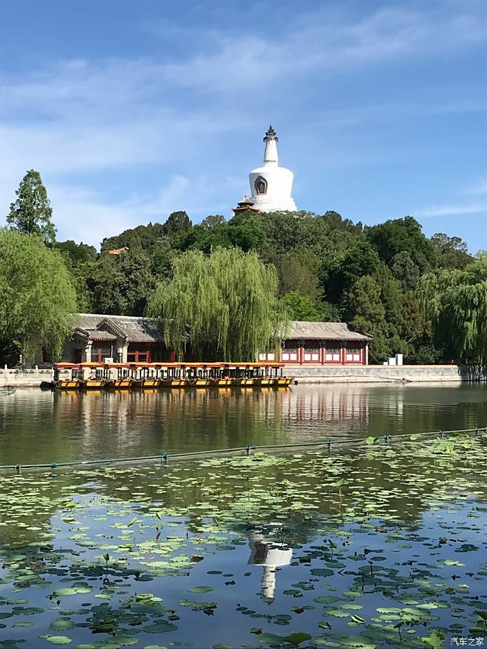 初夏美麗的北海公園.