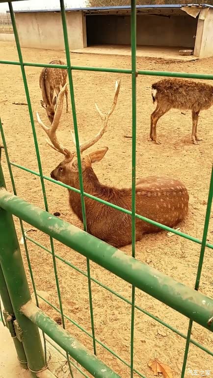 定州动物园一日游(有小二的日子)