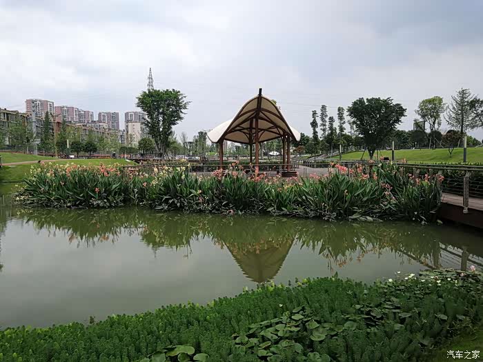 风景如画的金雁湿地公园