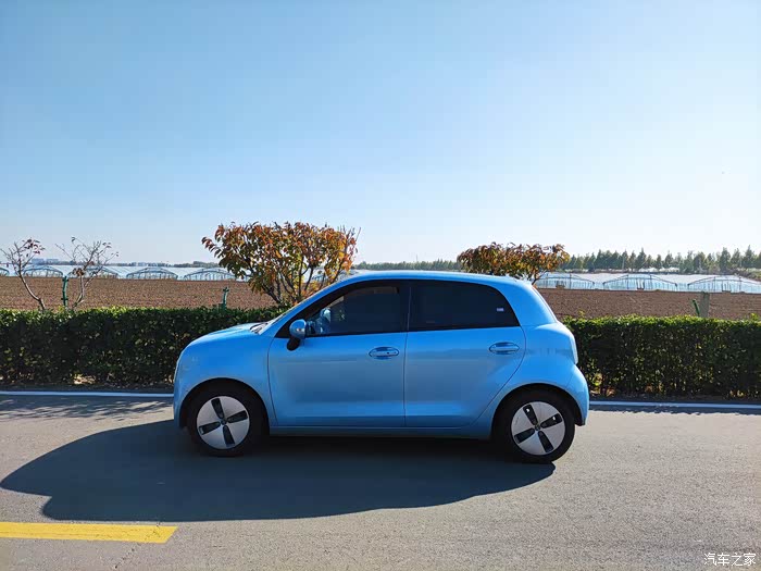 双十二来袭欧拉黑猫在等你