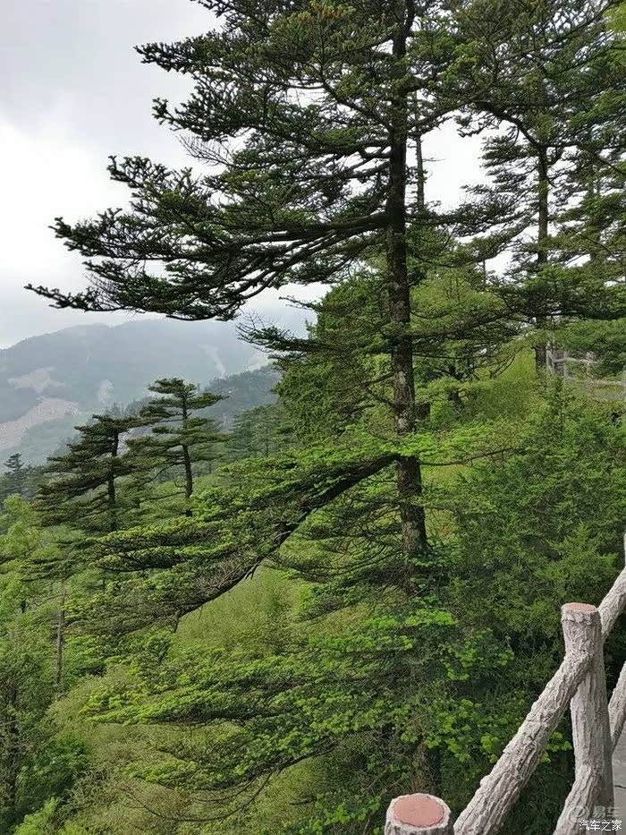 湛江海滨城市,山真不,森林公园也近两年才慢慢开发,以其说爬山,更应该