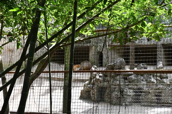 自驾e2打卡川东生态动物园