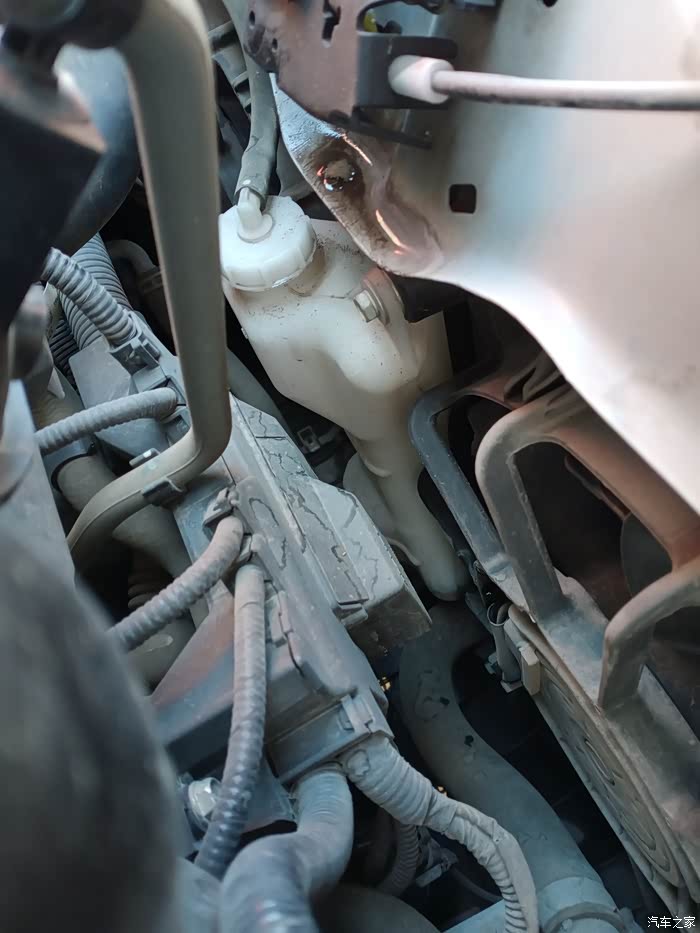 第三代飞度图片中这个壶是防冻液还是冷却液呀该加几升呢