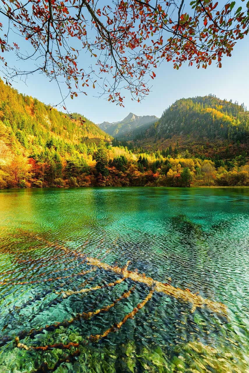 九寨沟的美,爱了,好喜欢.