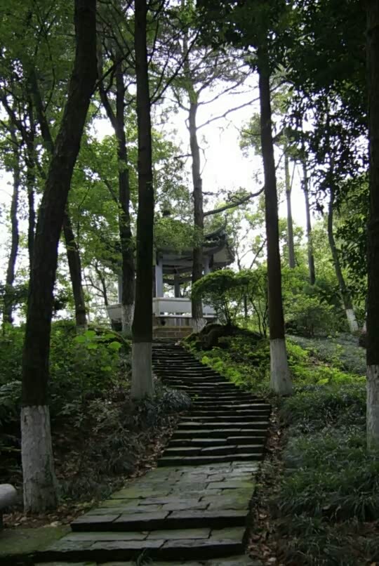 你们在高速路上堵车而我就厉害了在屿山公园悠闲游了一天