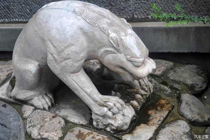 石豹,这么凶的表情好怕怕