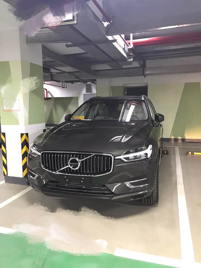 喜提松林灰小沃求认证