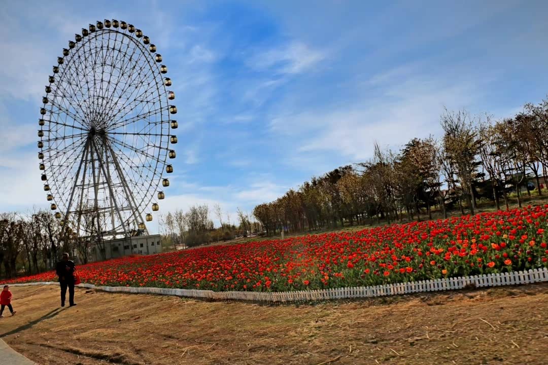 春意盎然纵擎花海泰安天颐湖试驾之旅