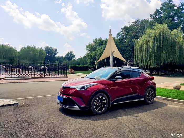 绿茵树下好乘凉给力的奕泽红黑小钢炮