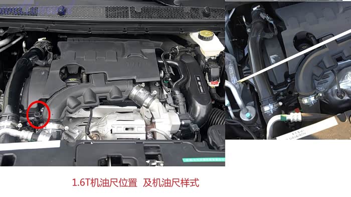 【图】请问408的机油尺藏在哪里?_标致408论坛_汽车之家论坛
