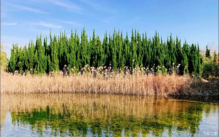 自驾名爵hs打卡罗泾水源涵养林