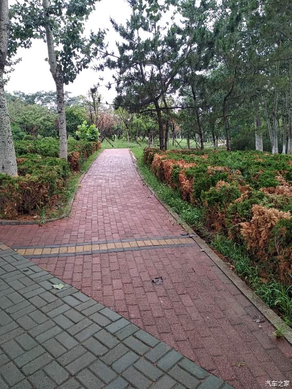 辽宁长安车友俱乐部871熟悉又陌生的锦泉公园