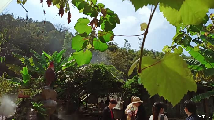 一日游土蛋哥农家乐体验自然乐趣