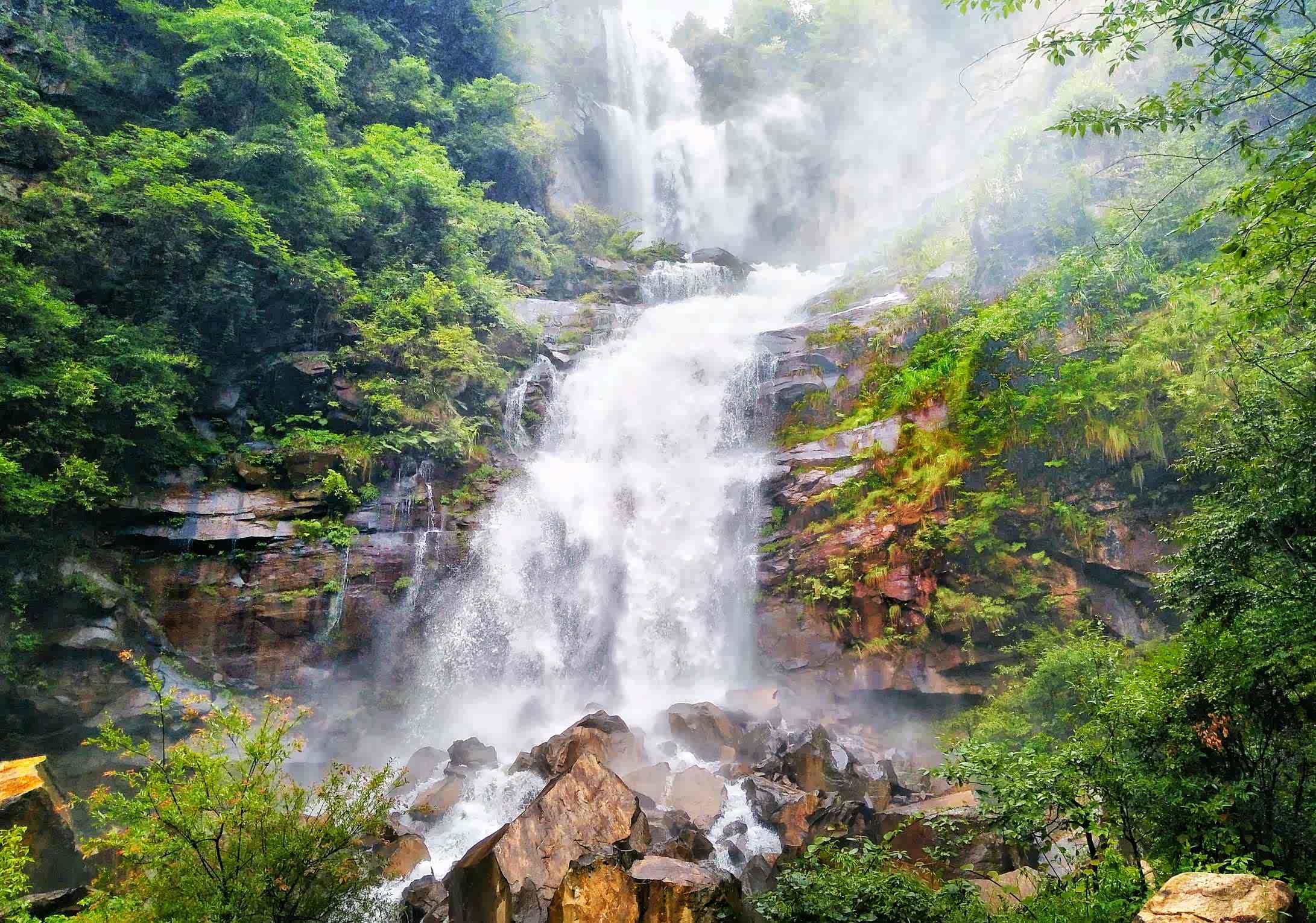 中药西药感冒药,你是治疗我的药