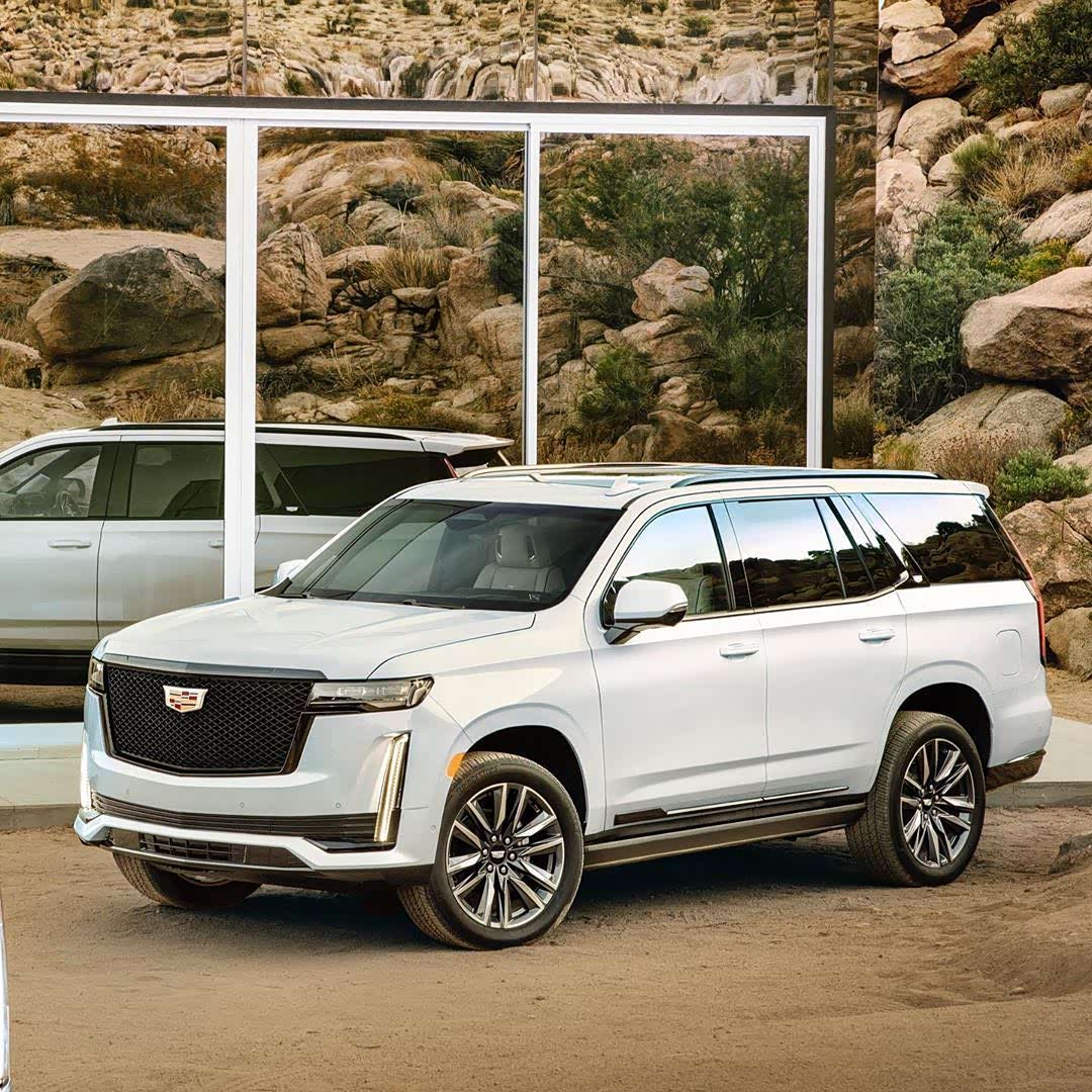 白色的凯雷德,其实更显得大,不知道啥时候可以体验一下