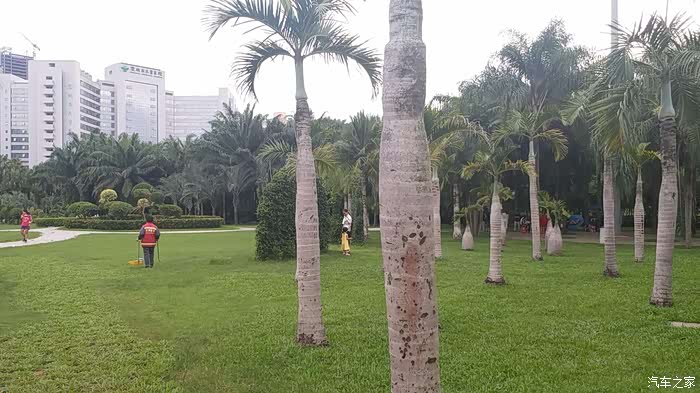 环卫工在捡草地上的垃圾,环境好,与环卫工的辛勤劳动是分不开的